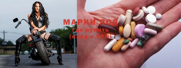 дмт Новокубанск