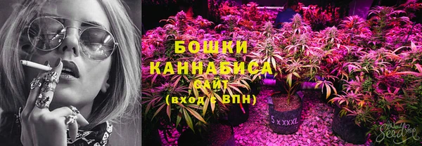 стаф Новодвинск