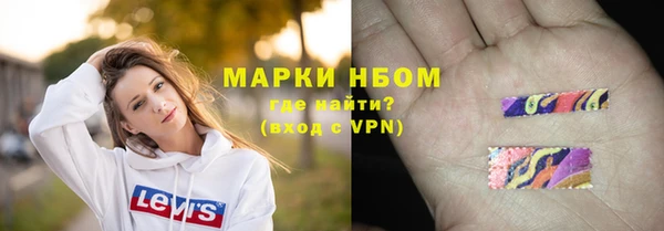 стаф Новодвинск