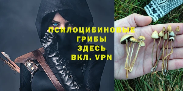 дмт Новокубанск
