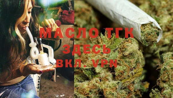 стаф Новодвинск