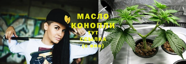 дмт Новокубанск