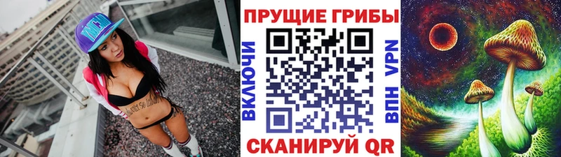 mega как войти  Горячеводский  Галлюциногенные грибы Cubensis  закладки 